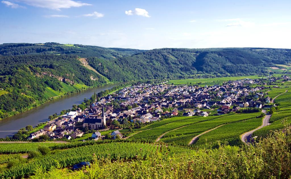 Ferienweingut Rainer Beitzel Kröv Exterior foto