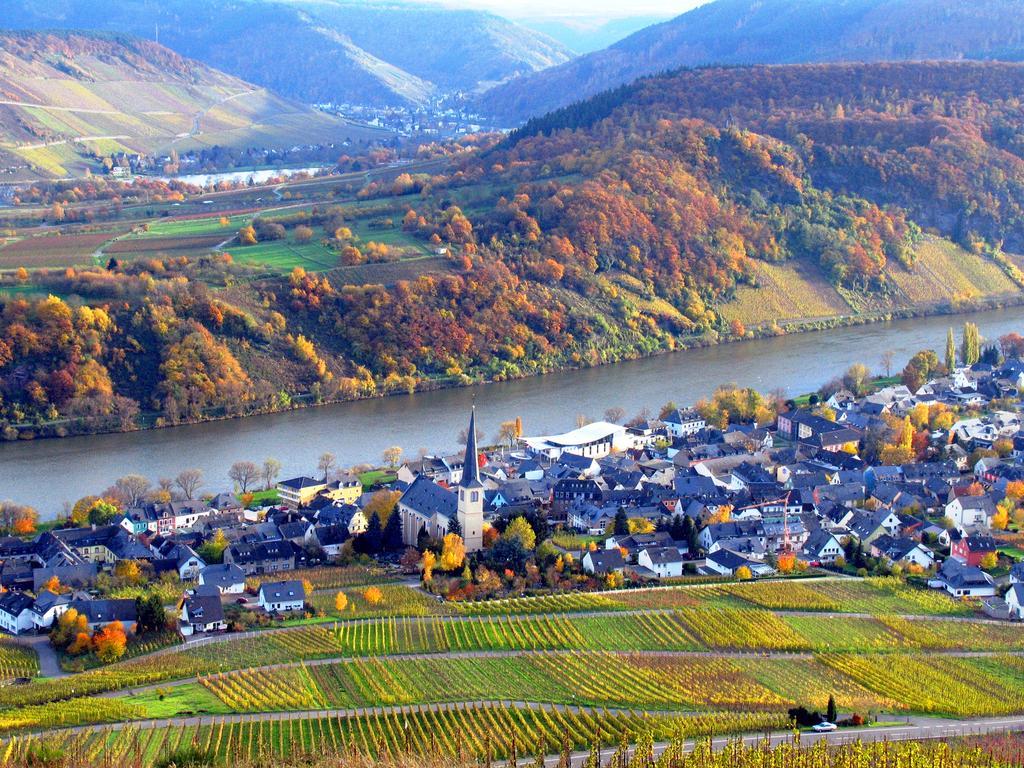 Ferienweingut Rainer Beitzel Kröv Exterior foto