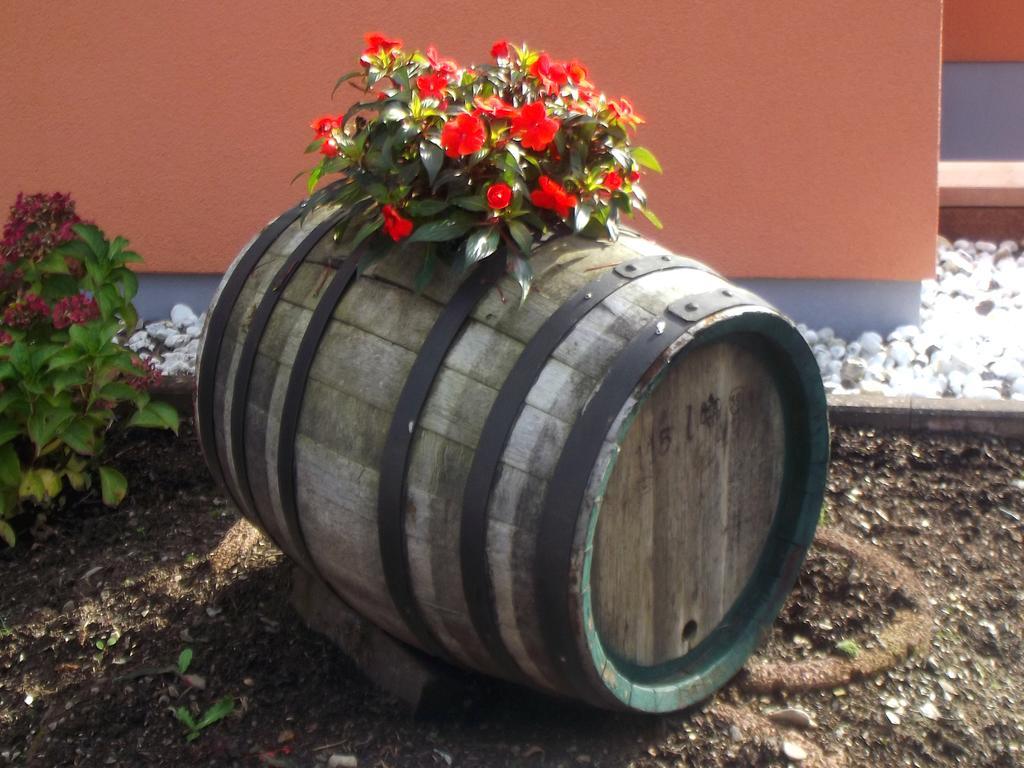Ferienweingut Rainer Beitzel Kröv Exterior foto